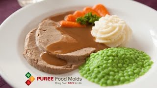 Puree Food Molds  Bring Food Back to Life [upl. by Lia]