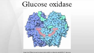 Glucose oxidase [upl. by Willabella]