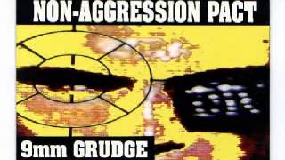 NON AGGRESSION PACT  DATA RAPE [upl. by Yslek]