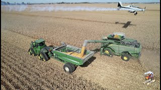 CORN HARVEST 2022 with 3 JOHN DEERE X9 Combines [upl. by Livvy]