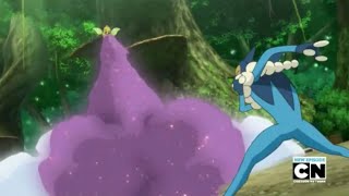 Pokemon Frogadier vs Weepinbell [upl. by Robbin]