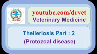 Theileriosis Part  2 [upl. by Selinda]