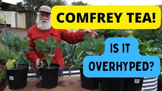 Comfrey Tea V The Rest Liquid Fertiliser Trial Results [upl. by Ruddie]