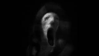 Distorted Horror Scream Sound Effect [upl. by Litsyrk]