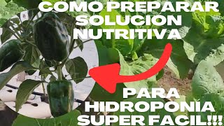 COMO PREPARAR SOLUCIÓN NUTRITIVA PARA HIDROPÓNIA 🌿 SUPER FACIL PARA PLANTAS DE CHILE🌱🫑🌶️ [upl. by Nossyla675]