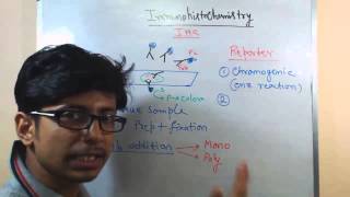 Immunohistochemistry lecture principle and process [upl. by Feucht]