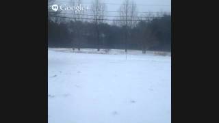 Feb 12 2014 Live Snow Cam NewtonNC [upl. by Rosaline]