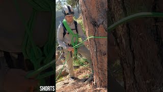 Rock Climbing Terrain Belay Technique shorts [upl. by Abie]