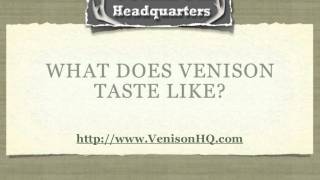 What Does Venison Taste Like  Venison HQ [upl. by Enialedam]