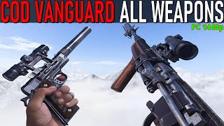 COD VANGUARD All Weapons [upl. by Emaj]