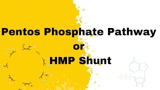 Pentos Phosphate Pathway  HMP Shunt  biochemistry bpharma bsc medical [upl. by Engenia]