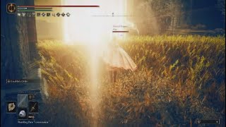 Light of Miquella PvP Invasions 2 RL160  Sword Saint Holy Build  Elden Ring Shadow of the Erdtree [upl. by Hajidak]