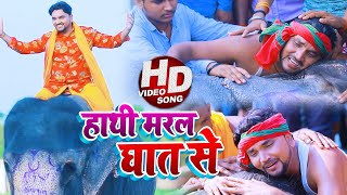 VIDEO  हाथी मरल घात से  Gunjan Singh  हाथी मेरे साथी  Bhojpuri Sad Song 2020 [upl. by Eniamart]