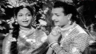 Bala Nagamma Movie Songs  Virisindi vintha haayi  Taraka Rama Rao Anjali Devi S V Ranga Rao [upl. by Ynnaej983]