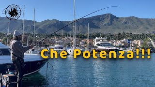 Pesca a Bolognese  Come catturiamo i grossi Cefali [upl. by Arodoeht]