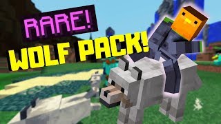 TESTING OUT WOLF PACK  HYPIXEL PIT [upl. by Attebasile]