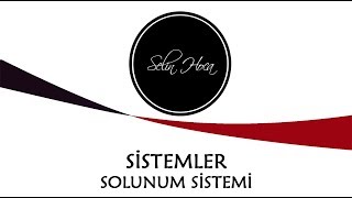 ARŞİV 18 Solunum Sistemi  11 Sınıf Biyoloji AYT 18 [upl. by Eirrak270]