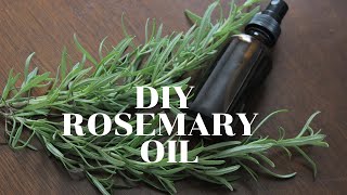 DIY Rosemary Oil for Hair  Rosemary Oil For Extreme Hair Growth [upl. by Ruddie979]