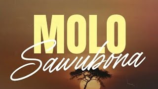 SlyzerKhondlo ft Msongi  Molo Sawubona Official Audio [upl. by Bowie771]