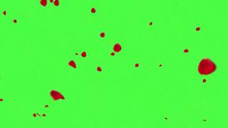 Green Screen Red Petals 💚 [upl. by Sianna]