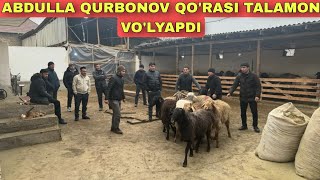 ABDULLA QURBONOV QORASIDA KATTA JANJAL [upl. by Nohsauq]