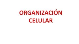 Organización celular [upl. by Libbi525]