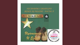 NECHODIMA AMAPIANO MIX [upl. by Ted]