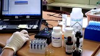 Biology Practicals  Starch Hydrolysis Using Amylase Enzyme With Calorimeter  Biology Experiments [upl. by Folsom]