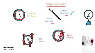 Types of Insulin and How It Works [upl. by Elery]