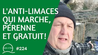 224Lantilimace qui marche pérenne et gratuit 🐌 [upl. by Yblehs]