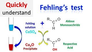 Fehling test [upl. by Zerdna]