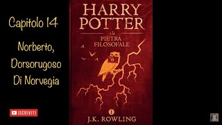 Harry Potter e la Pietra Filosofale audiolibro narrato da Francesco Pannofino  capitolo 14 [upl. by Eohce132]