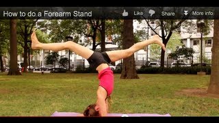 How to do a Forearm Stand [upl. by Selden64]