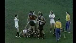 VFL R11 1981  StKilda v Fitzroy [upl. by Chandless76]