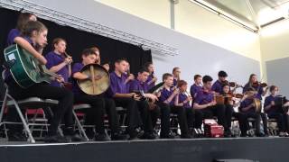 Ulster Fleadh 2014  Newcastle CCÉ 1215 Grupa Ceoil [upl. by Russo]