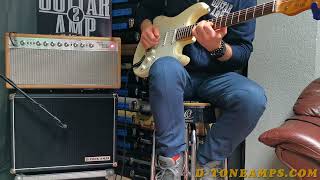 Dumble Steel String Singer style by DTONE AMPS  full reverb  TMG Dover strat [upl. by Dnalyr]