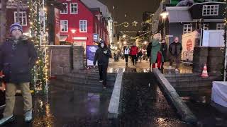 Reykjavik Winter Walking Tour Journey Through Icelands Capital [upl. by Wrigley]