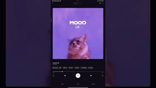 💜✨quotMoodquot Lofi  Yagih Mael \ Why You Always In A Mood Aesthetic Status 🌈 shorts trending viral [upl. by Cornela]