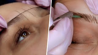 FULL MICROBLADING PROCESS  STEP BY STEP [upl. by Wootan]