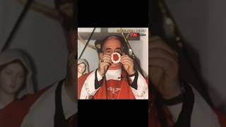 Mukjizat Hosti Berdarah shorts youtubeshorts kristen katolik catholic mass eucharist [upl. by Ayikaz537]