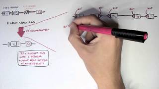 Immunology  Antibody Somatic VDJ Recombination II [upl. by Saimon]