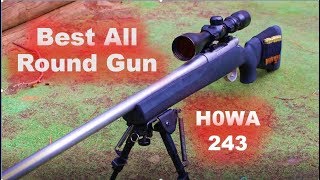 Best All Round Rifle HOWA 243 review [upl. by Keverian]