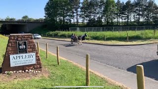 The start of Appleby Horse Fair 2023 [upl. by Schlosser]