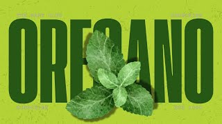 SHOCKING OREGANO STUDY  THE REAL MAGIC PILL  MUST WATCH [upl. by Viridissa]