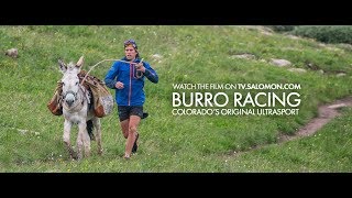 Burro  Salomon TV [upl. by Hermie]