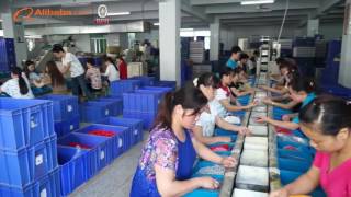 Shantou Chenghai Taisheng Plastic Toys Factory  Alibaba [upl. by Anstus139]