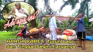 UPDATE HARGA KARET TERBARU JULI KE 3 DI BENGKULU [upl. by Schou]