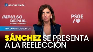 Sánchez se presentará a la reelección en el 41º Congreso del PSOE [upl. by Sheffy368]