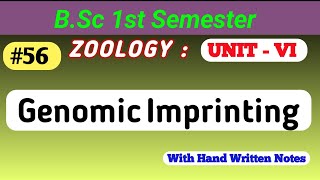 Genomic Imprinting  Genetics  what is genomicimprinting bsc msc genomic bsczoology bscclas [upl. by Birch]