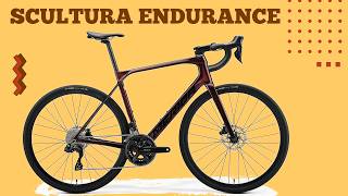 2025 MERIDA SCULTURA ENDURANCE 6000 Di2 £3300  Buyers Guide [upl. by Sammie]